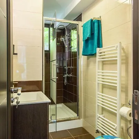 Apartment Studio Azuga